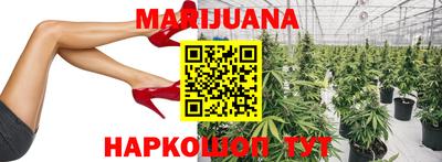 дмт Можайск