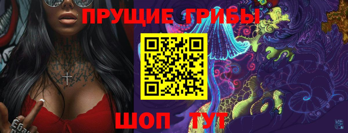 Псилоцибиновые грибы Psilocybine cubensis Фурманов